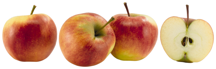 Demeter Bio Tafeläpfel