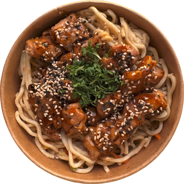 Teriyaki Chicken Kaarage Bratnudeln