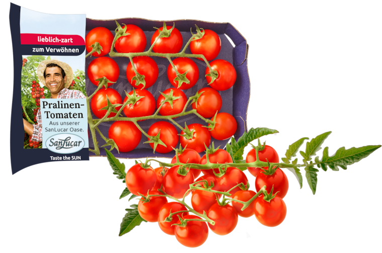 San Lucar Cocktail Rispentomaten, Cherry Rispentomaten, Mini Roma Tomaten oder Mini Roma Rispentomaten