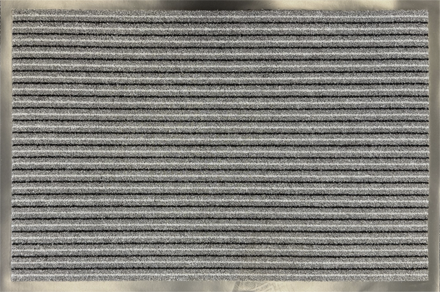 DEKOR Schmutzfangmatte Ca. 40 x 60 cm