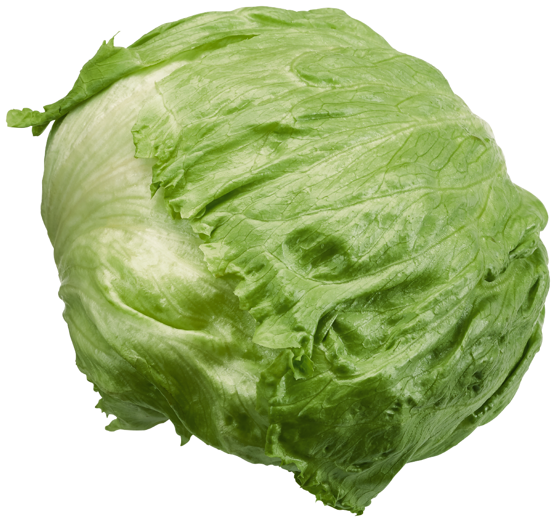 GUT&GÜNSTIG Eisbergsalat