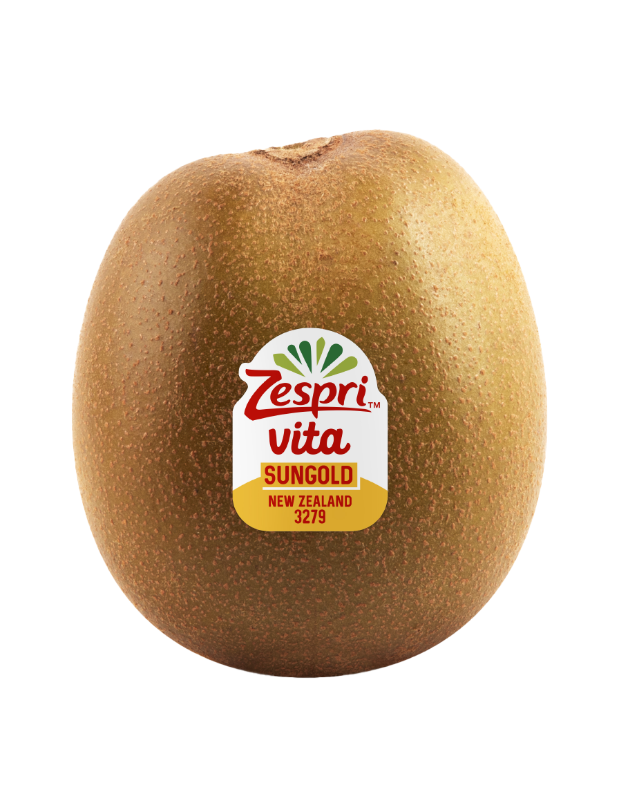 Zespri Kiwis Gold Jumbo Vita aus Neuseeland