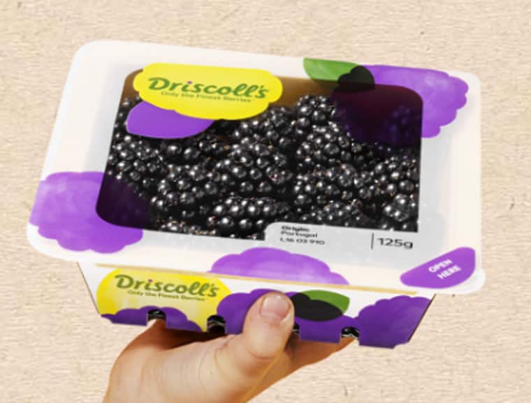 Driscoll's Brombeeren