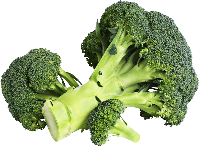 Ab Donnestag: Gut & Günstig Brokkoli