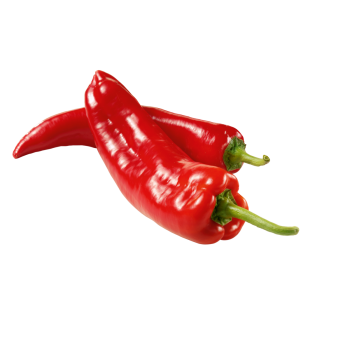 Marokko - Spitzpaprika