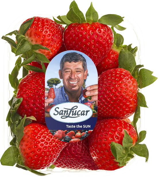 Am Samstag erhältlich: SanLucar Erdbeeren