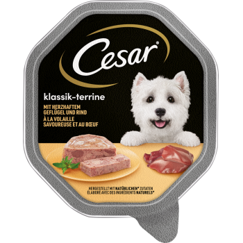 Cesar Hundenahrung