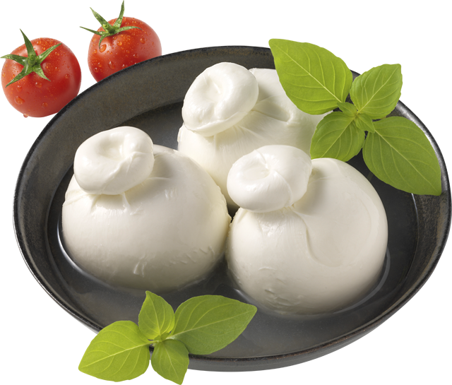 Büffelmilchburrata 