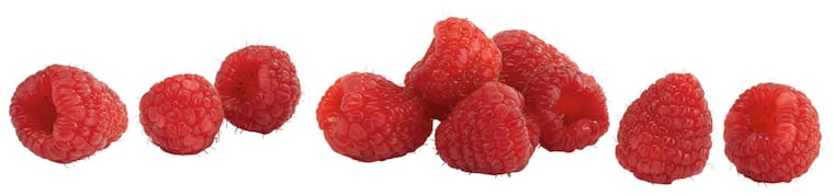 Driscoll's Himbeeren