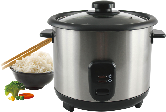 emerio Reiskocher RCE-110118