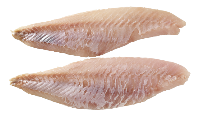 Frische Rotbarschfilets