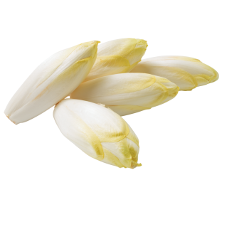 Deutschland - Chicorée