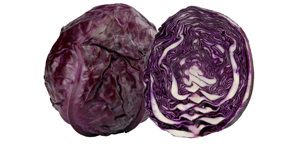 Unsere Heimat Rotkohl oder Weißkohl aus Norddeutschland