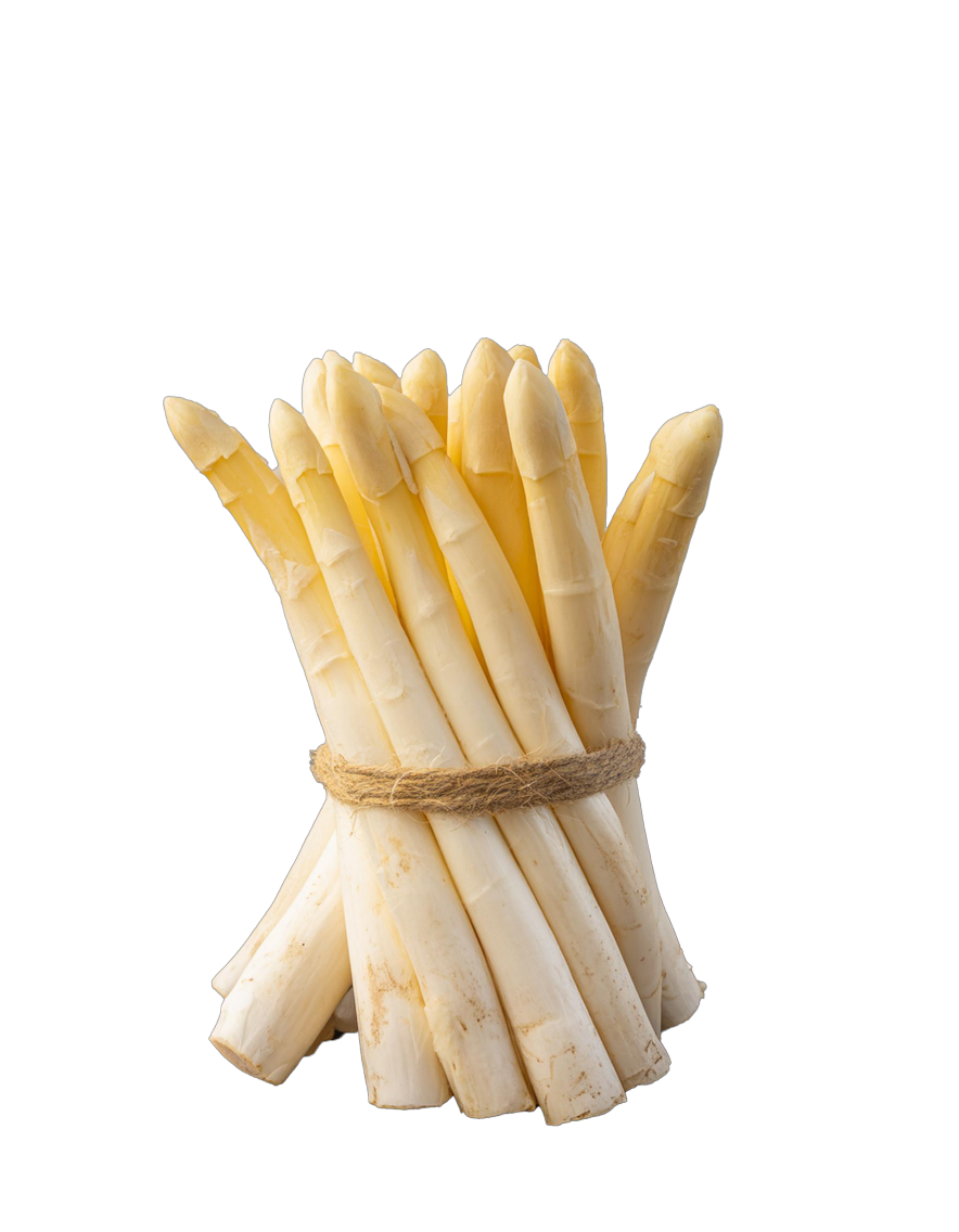 Spargel weiß / violett aus Norddeutschland