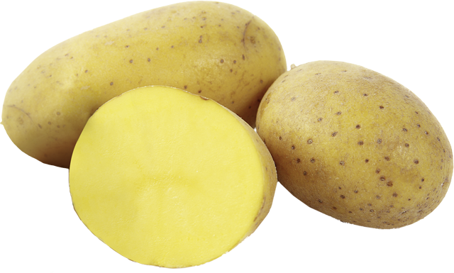 Speisekartoffeln
