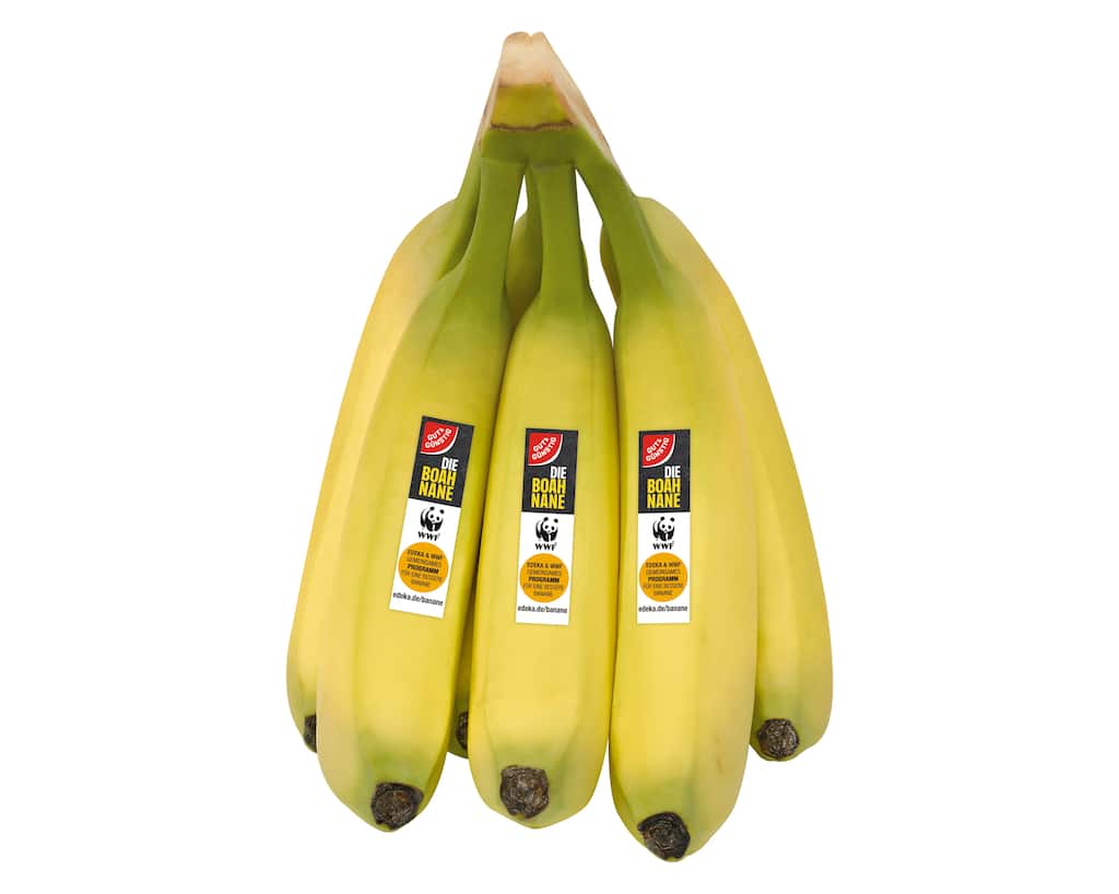 Gut & Günstig WWF Bananen