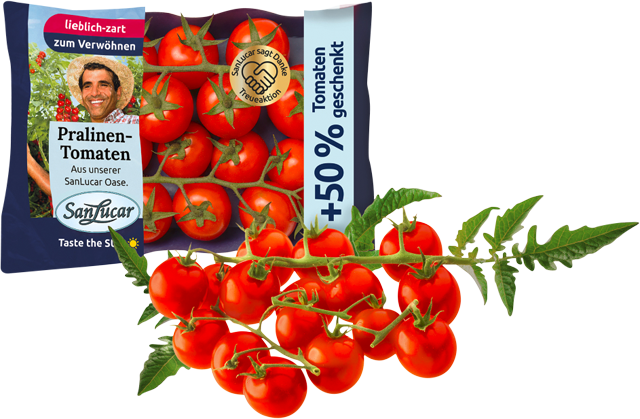 SanLucar Cherry Rispentomaten „Praline“ 