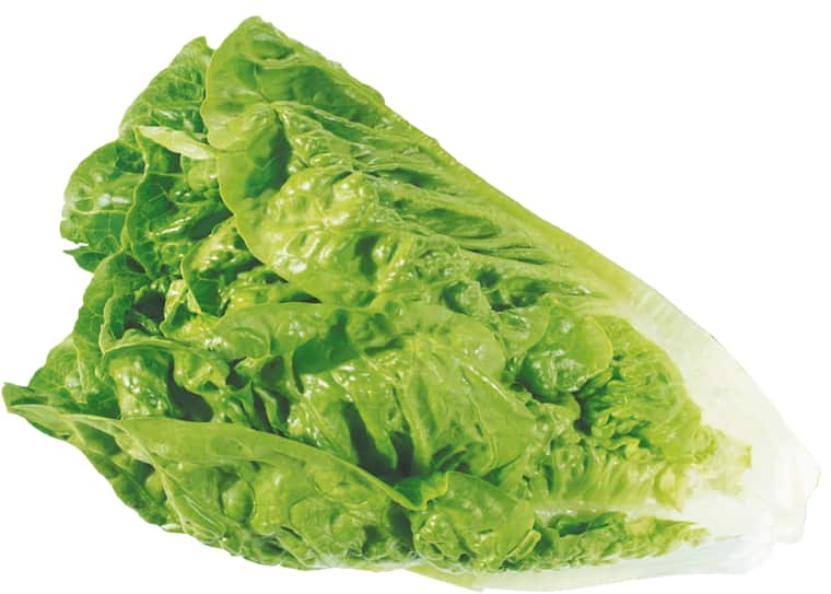 EDEKA Herzstücke Mini-Romanasalat