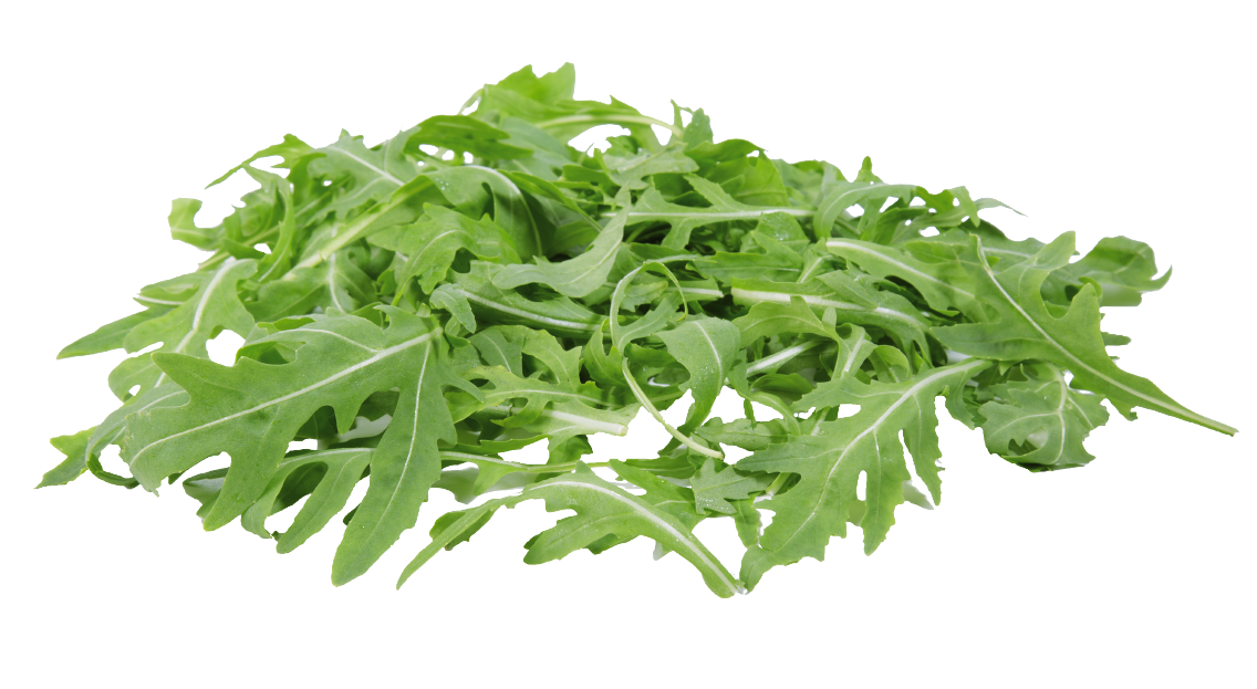 Unsere Heimat Rucola, Pflücksalat oder Babyspinat
