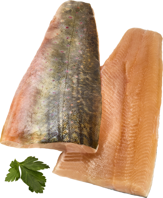 ²Saiblingsfilets