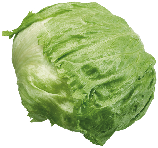 Deutschland GUT&GÜNSTIG Eisbergsalat