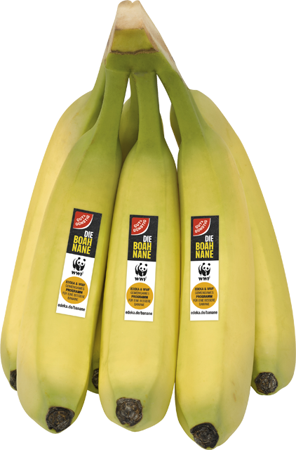 Gut & Günstig WWF Bananen