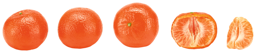 EDEKA Herzstücke Orangen oder Mandarinen