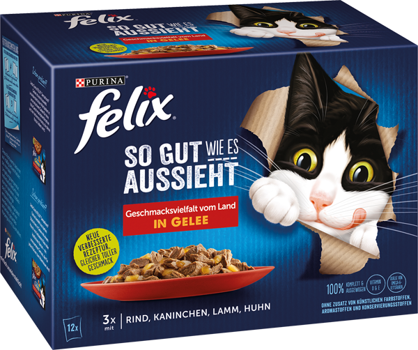 Nestlé PURINA Felix