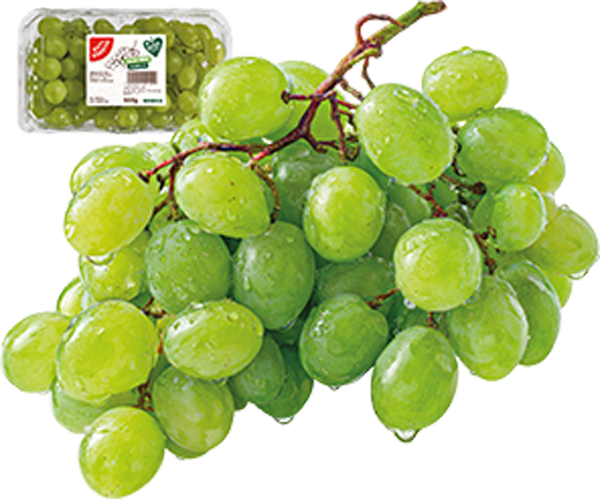 Südafrika GUT&GÜNSTIG Tafeltrauben