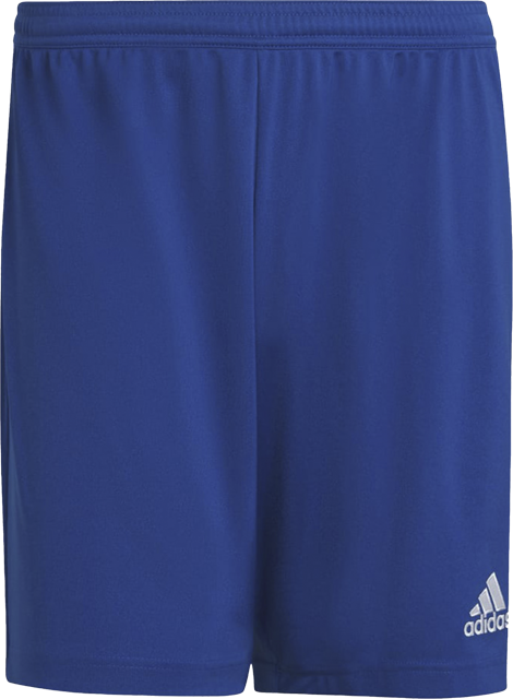 adidas Herren Trainingsshorts