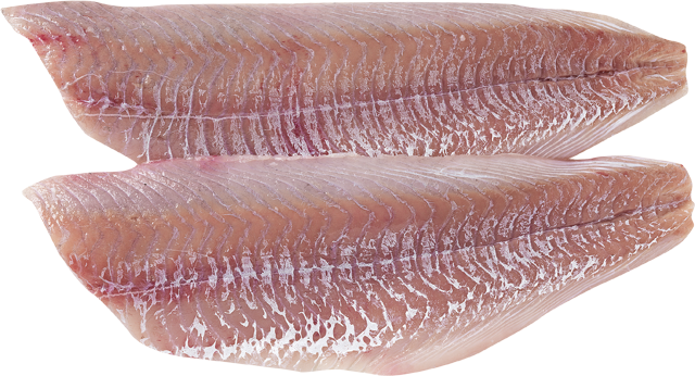 Am Freitag erhältlich: Seelachsfilets 