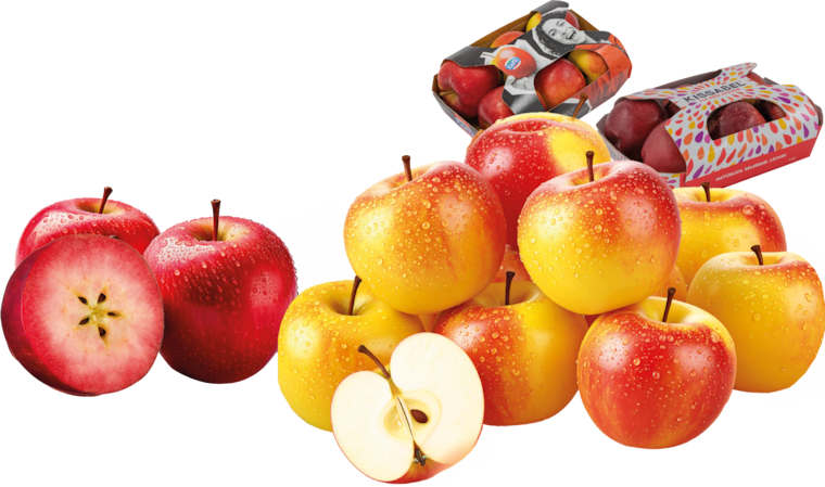 Deutschland Tafeläpfel "Kanzi" oder Tafeläpfel "Kissabel"