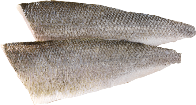 Frische Wolfsbarschfilets 