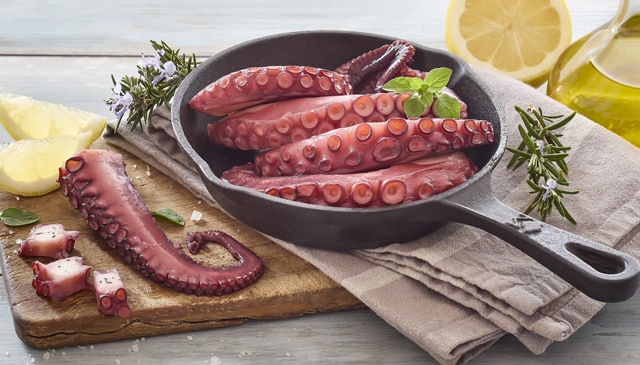 ²Pulpo 3 Tentakel