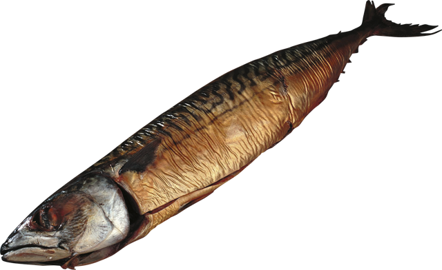 Makrelen