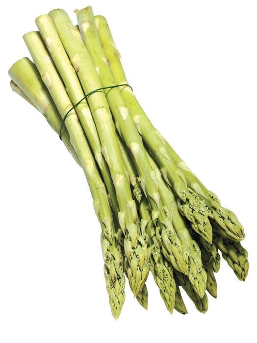 Spargel