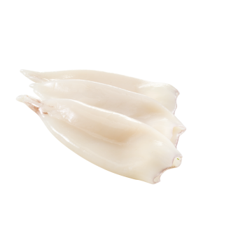 Tintenfischtuben
