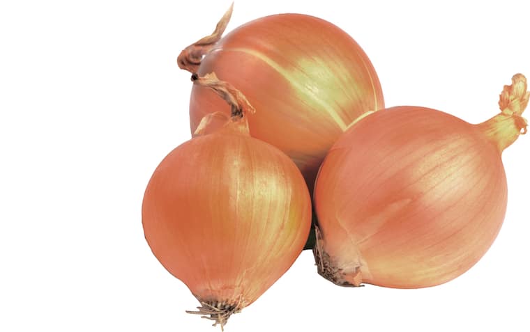 Gut&Günstig Zwiebeln