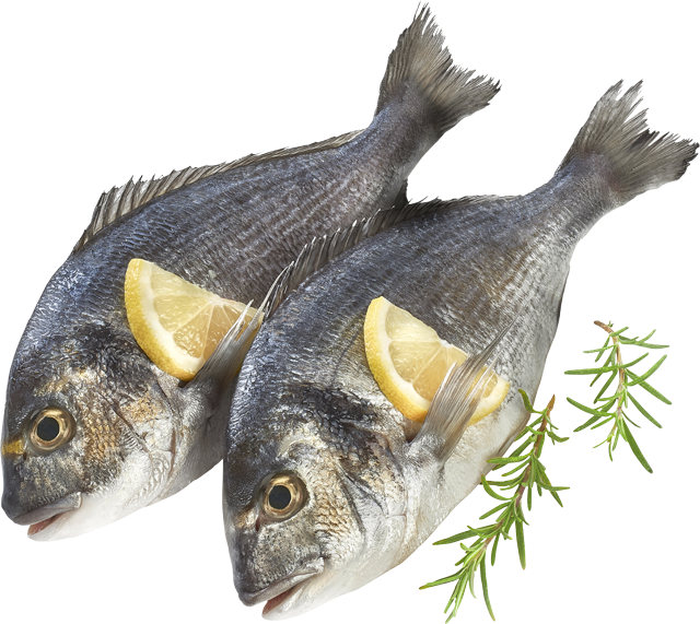 Donnerstag bis Samstag: Dorade Royal