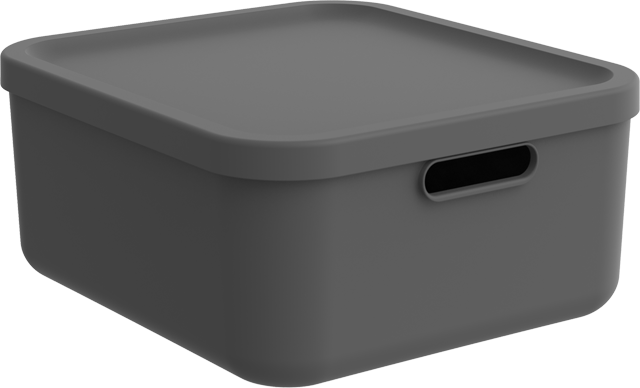 rotho Aufbewahrungsboxen „Albula“