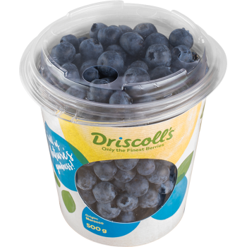 Marokko - Driscolls - Kulturheidelbeeren