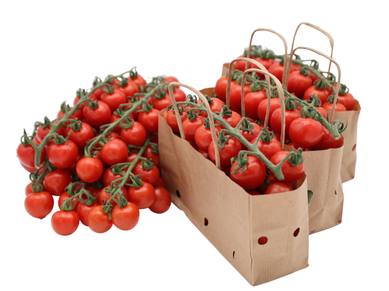 Cherry Rispentomaten Honigschätze