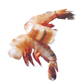 Argentinische Rotgarnele „Easy Peel“