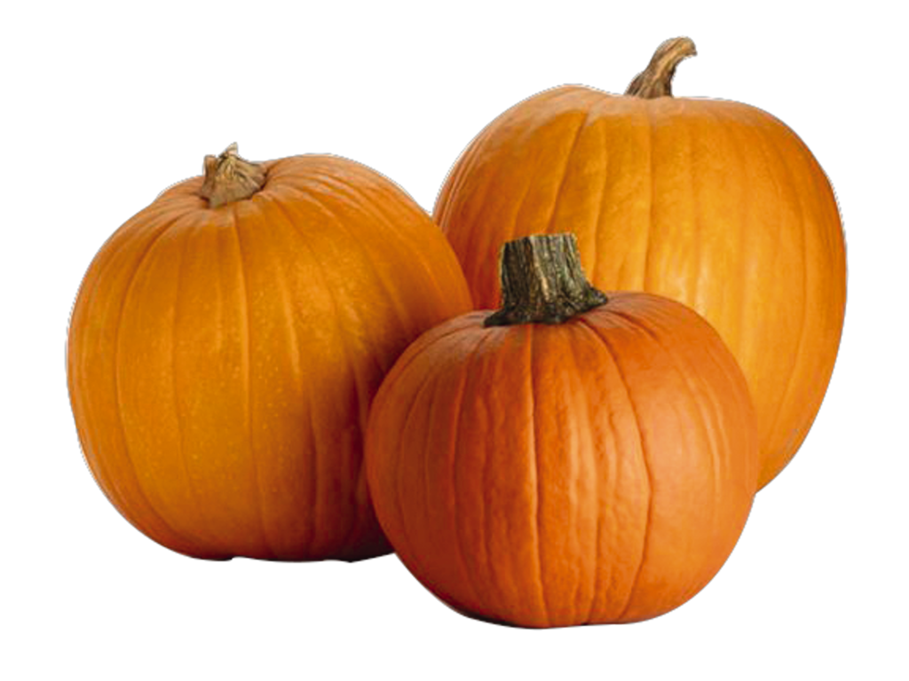 Speisekürbis Halloween