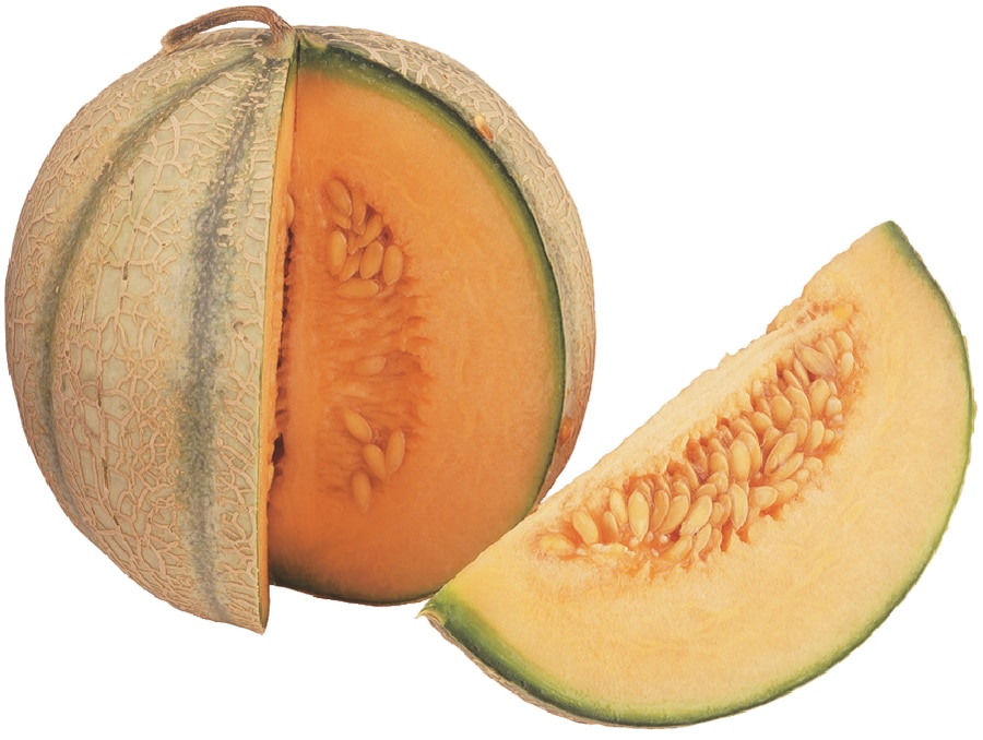 Galia- oder Cantaloupemelone