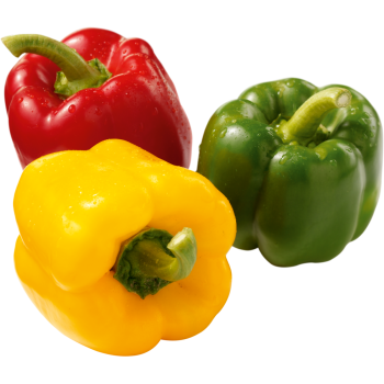 Spanien - Demeter - Bio-Paprika-Mix