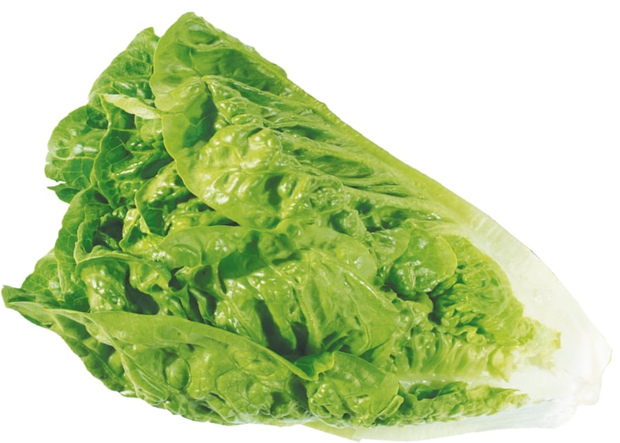 Mini-Romanasalat