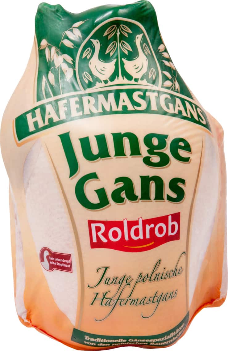 Junge Hafermast Gans