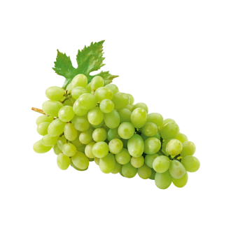 Italien - GUT & GÜNSTIG - Tafeltrauben