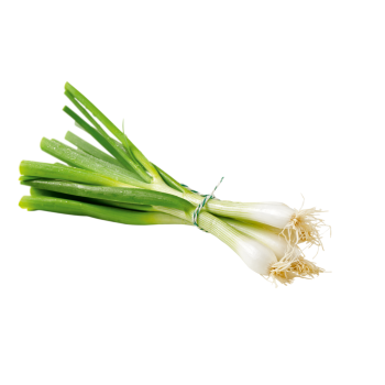 Deutschland - Lauchzwiebeln